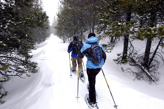 Tour image 3