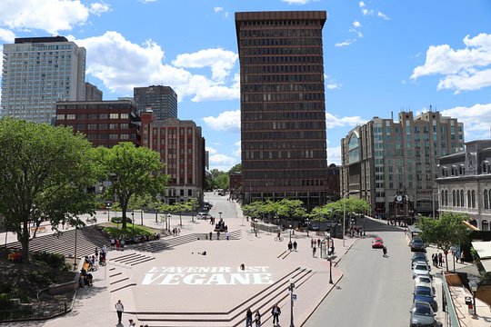 Tour image 8